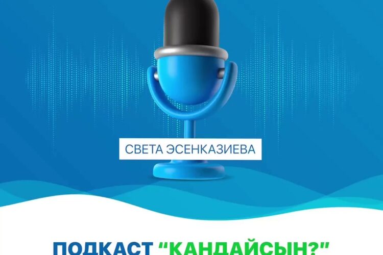 Ар түрдүү катмардагы майыптыгы бар адамдардын күн сайын ар кандай кыйынчылыктарга туш болушат – жеке, социалдык жана жумуш чөйрөсүндө.