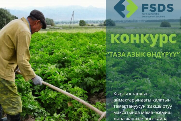 FSDS коомдук фонду “Таза азык өндүрүү” конкурсун жарыялайт